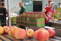 Der erste Saft kommt in die Boxen.